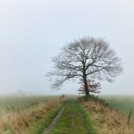 21. Duurzaamheidsvallei