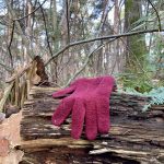 17. Nieuwjaarswandeling