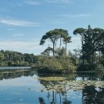 De week van 5 september