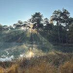 De week van 14 november