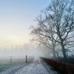 De week van 12 december