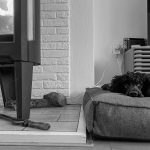 De week van 28 november