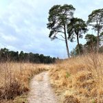 De week van 26 december