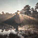 De week van 13 februari