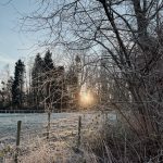 De week van 6 februari