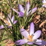 De week van 27 februari