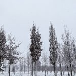 Netwerken op Internationale Vrouwendag