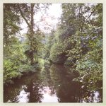 De week van 28 augustus