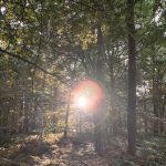 De week van 4 september