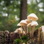 Van september naar oktober