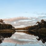 De week van 25 september