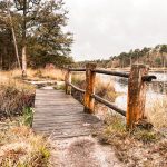 De week van 30 oktober