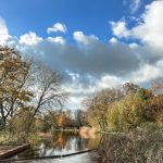 De week van 6 november