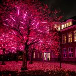 De week van 13 november