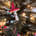 Van november naar december