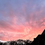 De week van 4 december