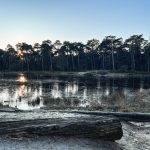 De week van 8 januari