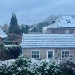 De week van 15 januari