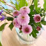 Week #12: rustig weekje met bloemen en bijen