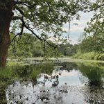 Week #23: omhoog uit de dip