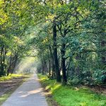 Zonnige Zondag #11; een week die voorbij vloog