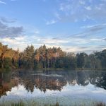 Zonnige Zondag #12; niet mijn beste week