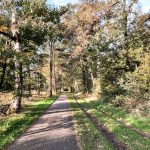 Zonnige Zondag #18; een week met wat meer wolken