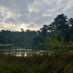 September in foto’s