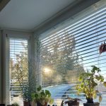 Zonnige Zondag #16; een erg korte samenvatting