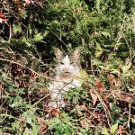 Week #43: herfstvakantie