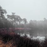 Week 3: hiep hiep hoera!