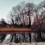 Week 5: vanuit een bubbel