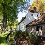 Even van huis: Thorn