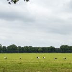 In beweging: Abdijentocht