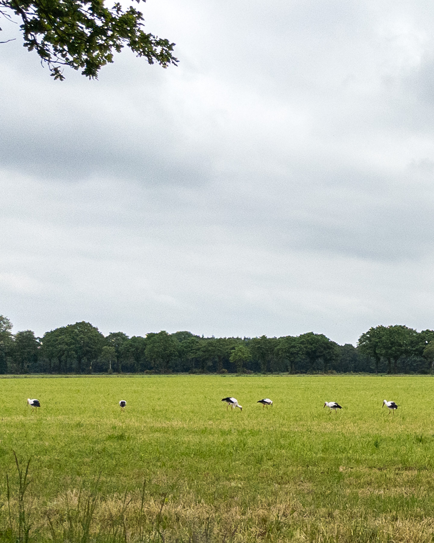 In beweging: Abdijentocht