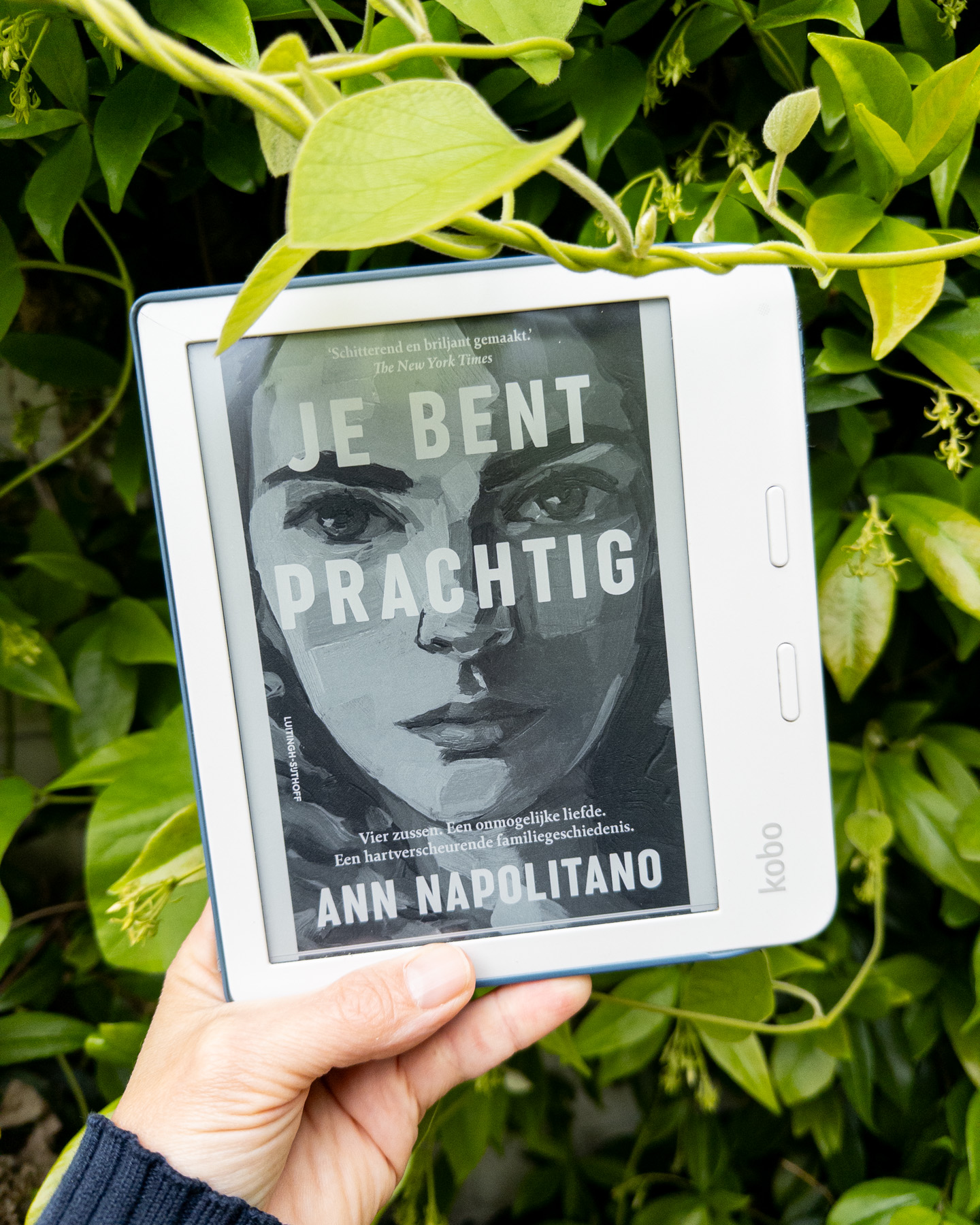 Beeld en geluid: Je bent prachtig
