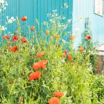Wandelen door Natuurgebied Moerenburg en de Duurzaamheidsvallei