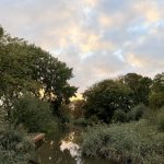 Door de week heen – week 41