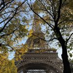 Door de week heen – week 42