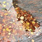 Door de week heen – week 43