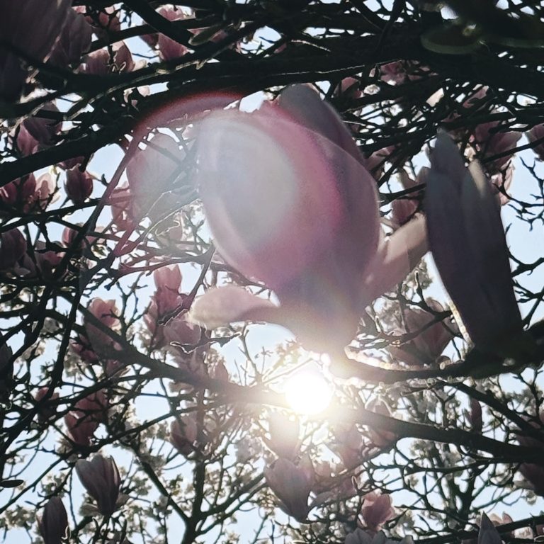 Maart: Een verzameling