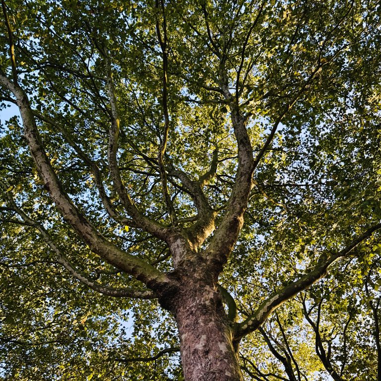 September in beeld